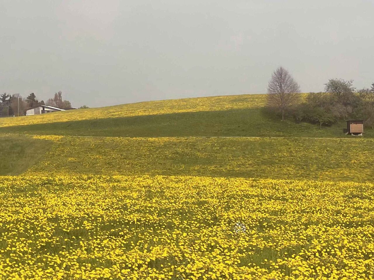 Extrem nasses Frühlingsquartal 24